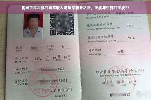揭秘货车司机的真实收入与艰辛职业之路，挑战与生存的挑战??