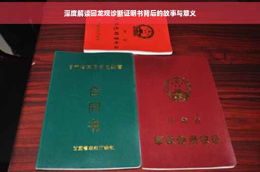 深度解读回龙观诊断证明书背后的故事与意义