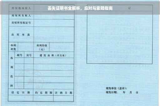 丢失证明书全解析，应对与索赔指南