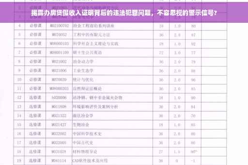 揭露办房贷假收入证明背后的违法犯罪问题，不容忽视的警示信号?