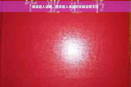 签证收入证明，稳定收入来源的关键证明文件