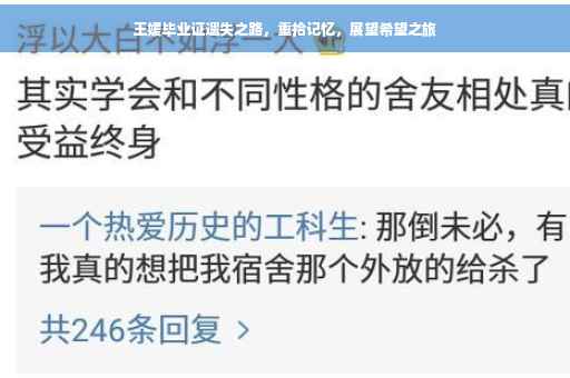 王媛毕业证遗失之路，重拾记忆，展望希望之旅