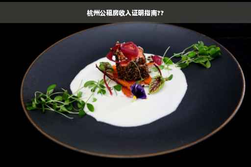 杭州公租房收入证明指南??