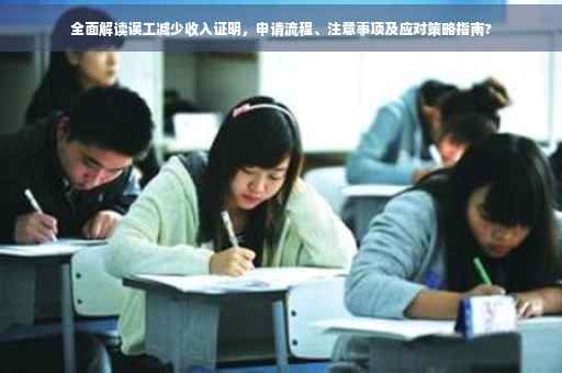 全面解读误工减少收入证明，申请流程、注意事项及应对策略指南?