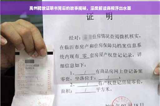 禹州释放证明书背后的故事揭秘，深度解读真相浮出水面