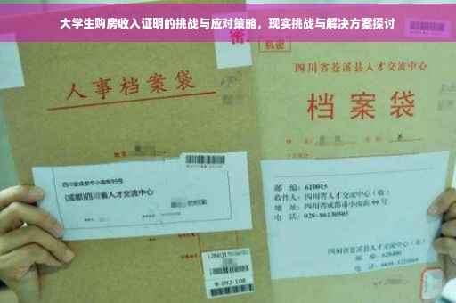 大学生购房收入证明的挑战与应对策略，现实挑战与解决方案探讨