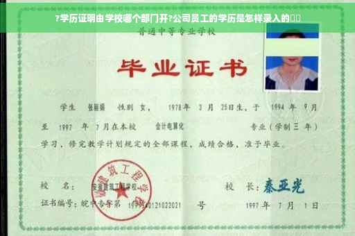 ?学历证明由学校哪个部门开?公司员工的学历是怎样录入的⚡️
