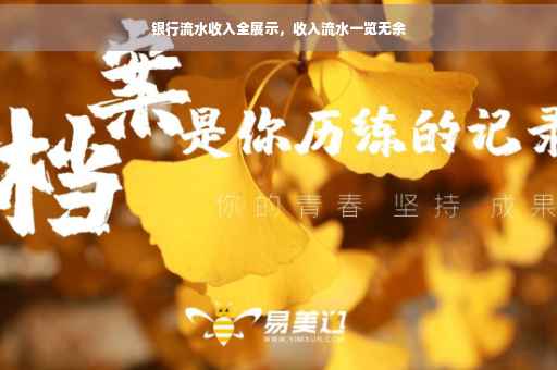 银行流水收入全展示，收入流水一览无余