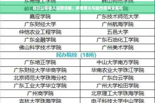 自己公司收入证明详解，多重意义与操作指南全解析