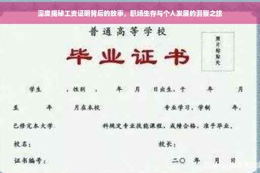 深度揭秘工资证明背后的故事，职场生存与个人发展的洞察之旅