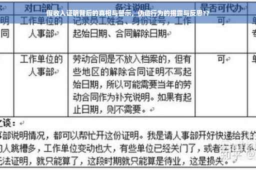 假收入证明背后的真相与警示，伪造行为的揭露与反思??
