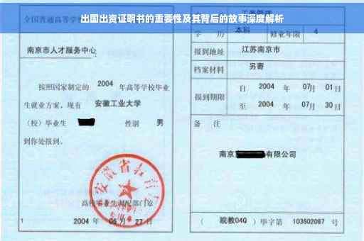 出国出资证明书的重要性及其背后的故事深度解析