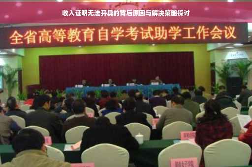 收入证明无法开具的背后原因与解决策略探讨