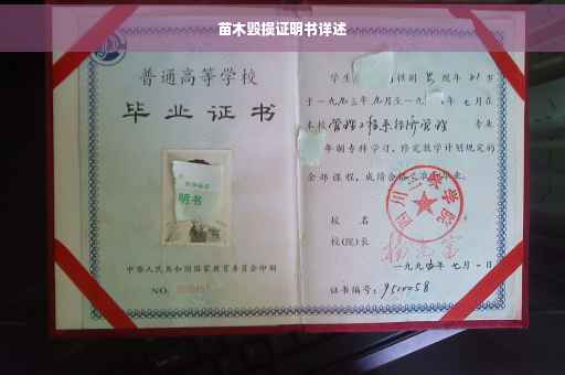 苗木毁损证明书详述
