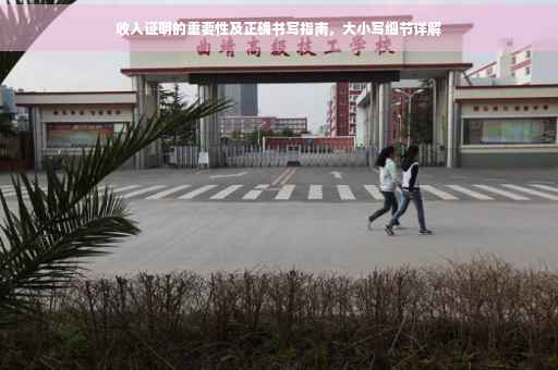 收入证明的重要性及正确书写指南，大小写细节详解