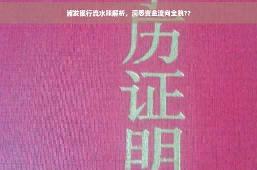 浦发银行流水账解析，洞悉资金流向全貌??