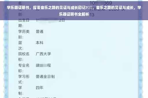 学乐器证明书，探索音乐之路的见证与成长印记?⚡️，音乐之路的见证与成长，学乐器证明书全解析