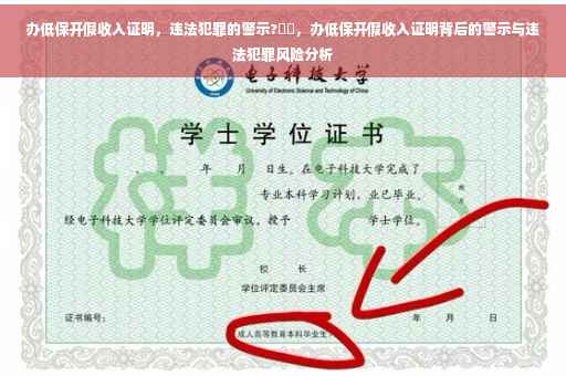 办低保开假收入证明，违法犯罪的警示?⚡️，办低保开假收入证明背后的警示与违法犯罪风险分析