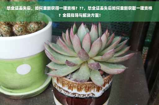 毕业证丢失后，如何重新获得一建资格？??，毕业证丢失后如何重新获取一建资格？全程指导与解决方案！