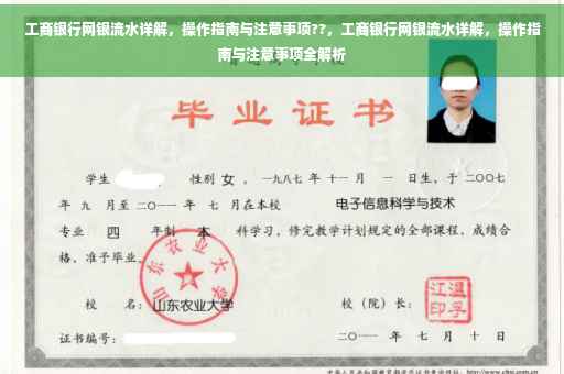工商银行网银流水详解，操作指南与注意事项??，工商银行网银流水详解，操作指南与注意事项全解析