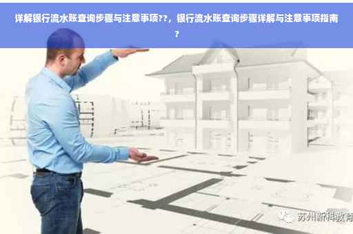 详解银行流水账查询步骤与注意事项??，银行流水账查询步骤详解与注意事项指南?