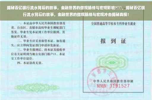 揭秘百亿银行流水背后的故事，金融世界的微观脉络与宏观影响?⚡️，揭秘百亿银行流水背后的故事，金融世界的微观脉络与宏观冲击揭秘真相！