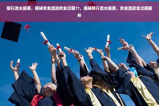 银行流水摘要，揭秘资金流动的全过程??，揭秘银行流水摘要，资金流动全过程解析