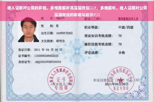 收入证明对公司的影响，多维度解析其深层效应⚡️?，多维解析，收入证明对公司深层效应的影响与启示?⚡️
