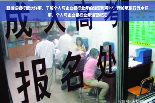 新加坡银行流水详解，了解个人与企业银行业务的运营概况??，新加坡银行流水详解，个人与企业银行业务运营概览