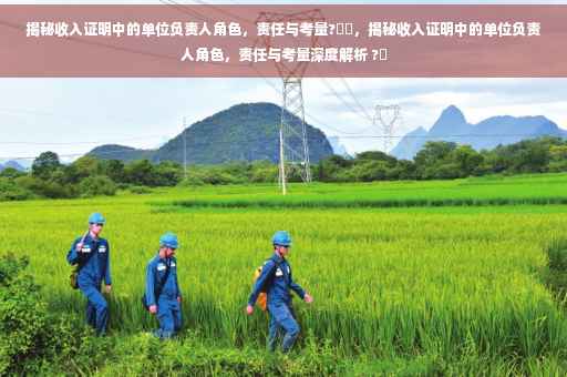 揭秘收入证明中的单位负责人角色，责任与考量?⚡️，揭秘收入证明中的单位负责人角色，责任与考量深度解析 ?✨