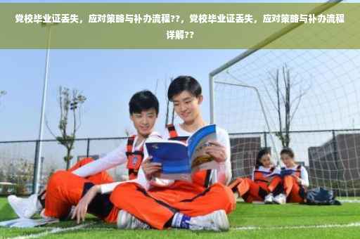 党校毕业证丢失，应对策略与补办流程??，党校毕业证丢失，应对策略与补办流程详解??