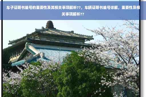 车子证明书编号的重要性及其相关事项解析??，车辆证明书编号详解，重要性及相关事项解析??