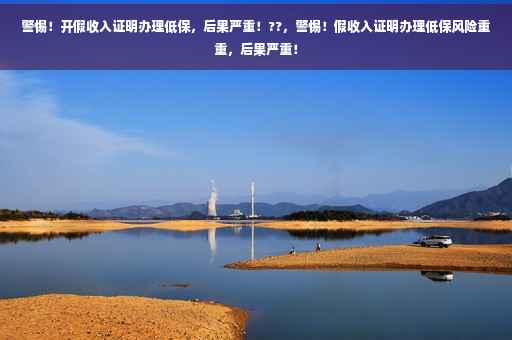 警惕！开假收入证明办理低保，后果严重！??，警惕！假收入证明办理低保风险重重，后果严重！