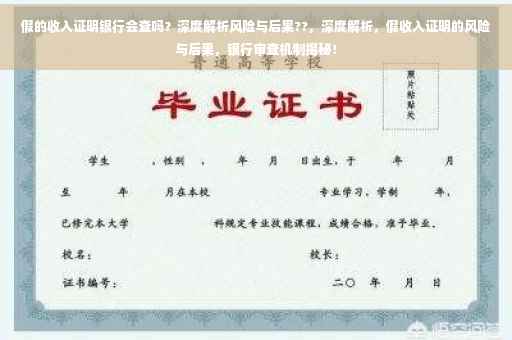 假的收入证明银行会查吗？深度解析风险与后果??，深度解析，假收入证明的风险与后果，银行审查机制揭秘！