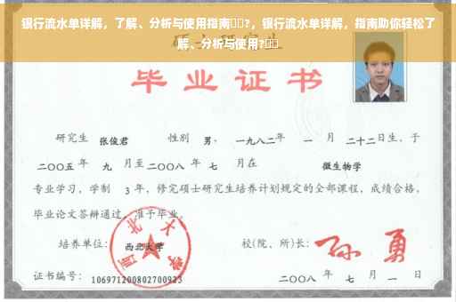 银行流水单详解，了解、分析与使用指南⚡️?，银行流水单详解，指南助你轻松了解、分析与使用?⚡️
