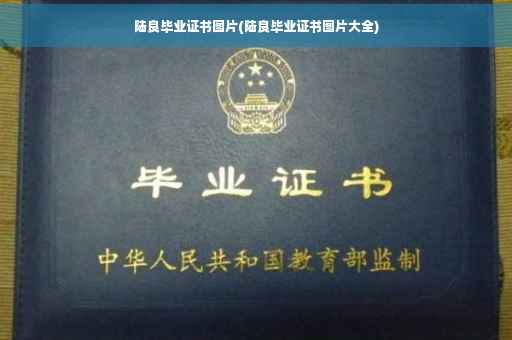 陆良毕业证书图片(陆良毕业证书图片大全)