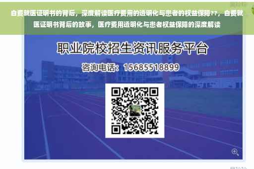 自费就医证明书的背后，深度解读医疗费用的透明化与患者的权益保障??，自费就医证明书背后的故事，医疗费用透明化与患者权益保障的深度解读