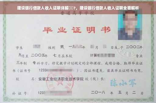 建设银行借款人收入证明详解⚡️?，建设银行借款人收入证明全面解析