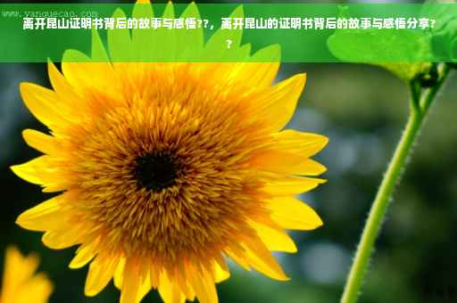 离开昆山证明书背后的故事与感悟??，离开昆山的证明书背后的故事与感悟分享??