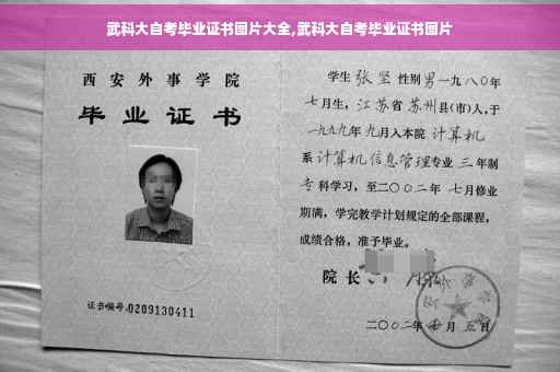 武科大自考毕业证书图片大全,武科大自考毕业证书图片