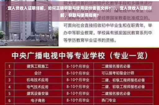 宜人贷收入证明详解，如何正确获取与使用这份重要文件?⚡️，宜人贷收入证明详解，获取与使用指南?