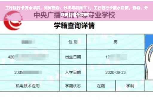 工行银行卡流水详解，如何查看、分析与利用⚡️?，工行银行卡流水指南，查看、分析与利用全攻略??
