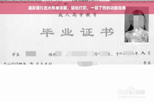 浦发银行流水账单详解，轻松打印，一目了然的功能指南