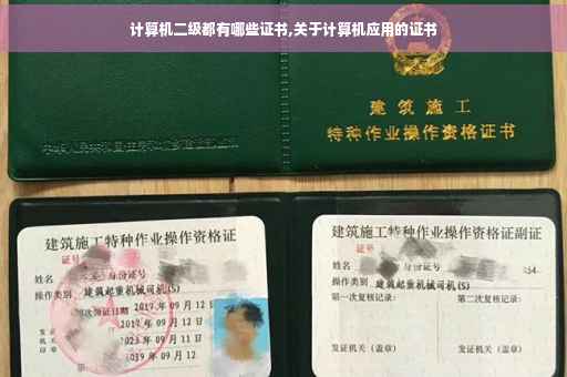 计算机二级都有哪些证书,关于计算机应用的证书