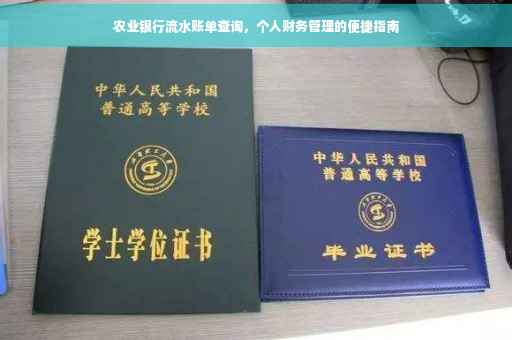 农业银行流水账单查询，个人财务管理的便捷指南