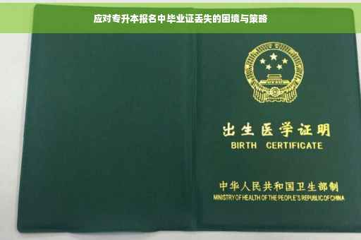 应对专升本报名中毕业证丢失的困境与策略