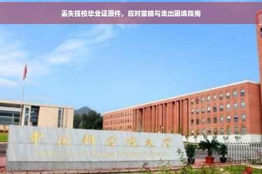 丢失技校毕业证原件，应对策略与走出困境指南