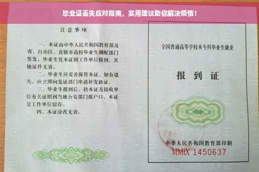 毕业证丢失应对指南，实用建议助你解决烦恼！