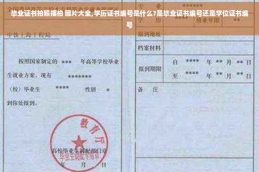 毕业证书拍照摆拍 图片大全,学历证书编号是什么?是毕业证书编号还是学位证书编号