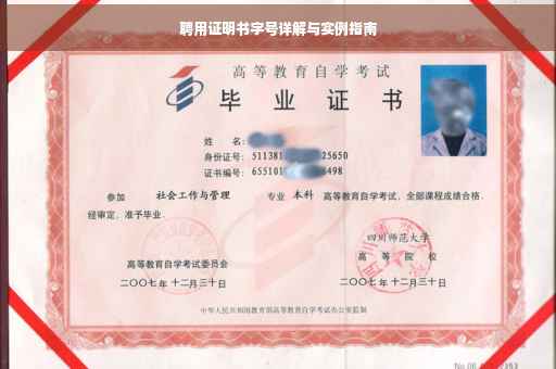 聘用证明书字号详解与实例指南